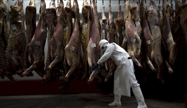 carne