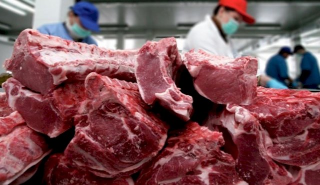 carnes2
